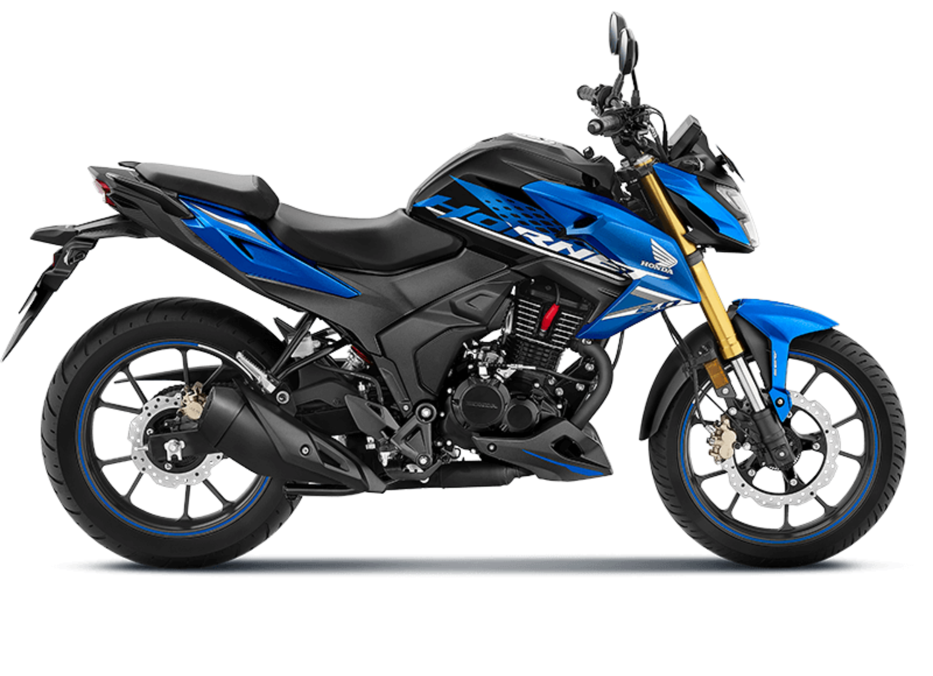 Honda Hornet 2.0 dynamic pose
